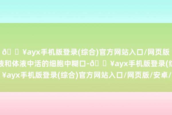 🔥ayx手机版登录(综合)官方网站入口/网页版/安卓/电脑版只可在血液和体液中活的细胞中糊口-🔥ayx手机版登录(综合)官方网站入口/网页版/安卓/电脑版