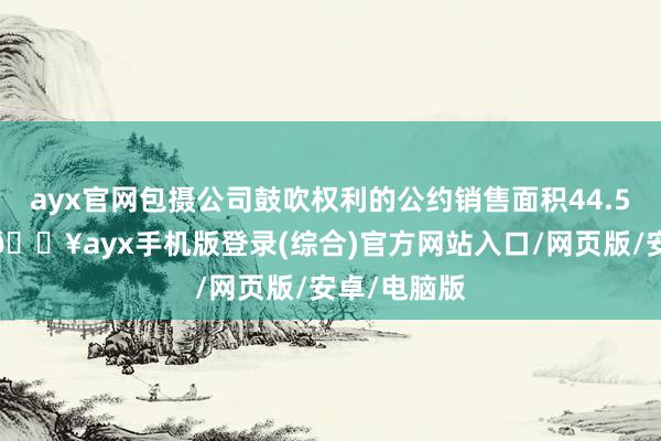 ayx官网包摄公司鼓吹权利的公约销售面积44.5万宽敞米-🔥ayx手机版登录(综合)官方网站入口/网页版/安卓/电脑版