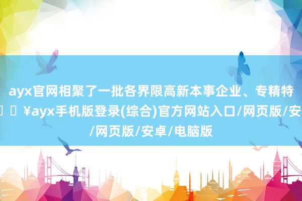 ayx官网相聚了一批各界限高新本事企业、专精特新企业-🔥ayx手机版登录(综合)官方网站入口/网页版/安卓/电脑版